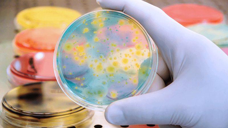 生物试剂报价迷雾：北京市场到底藏着多少隐形门槛