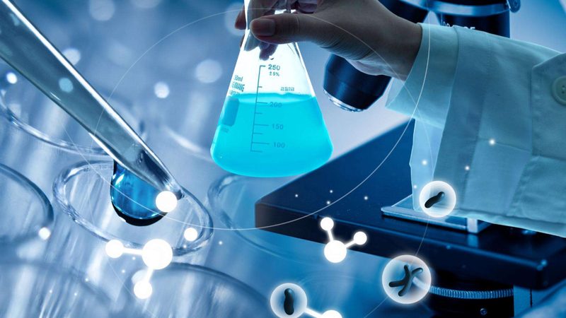 CRO实验设计规范标准：构建高质量生物实验的基石