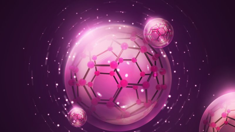 动物细胞培养与植物组织培养：两种技术的关键区别解析