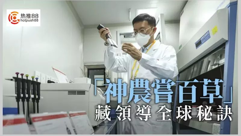 荧光标记引物序列设计：精准探针的构建之道**