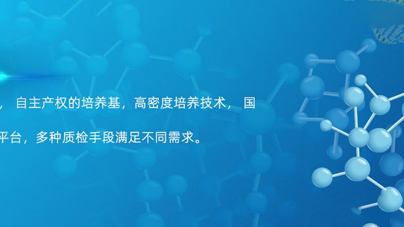 小分子CDMO绿色化学工艺：揭秘高效环保的药物合成之道**