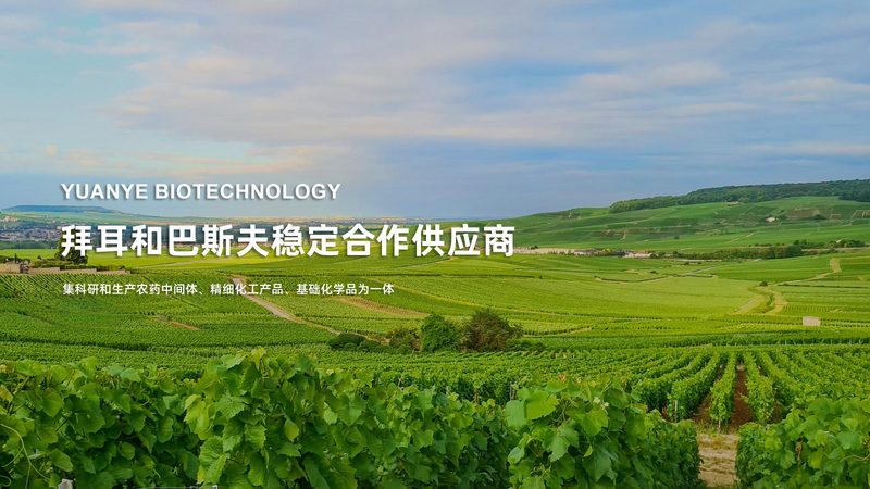 抗体偶联药物ADC：揭秘ADC十大品牌背后的技术奥秘