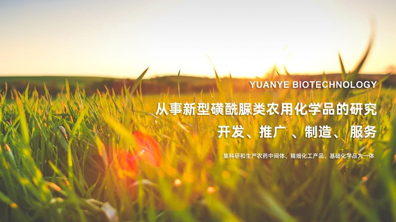 CDMO价格对比：揭秘选择最经济的考量因素