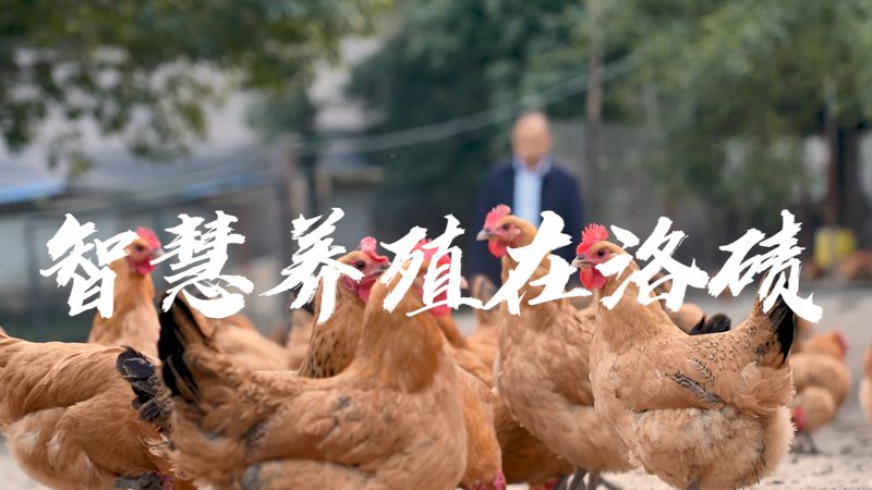 三代基因测序：揭秘精准医疗的未来钥匙