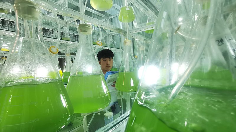 聚苯乙烯还是聚碳酸酯？科研用细胞培养瓶材质选择背后的工艺逻辑